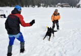 Medzinárodný kynologický seminár Popradské pleso 2019