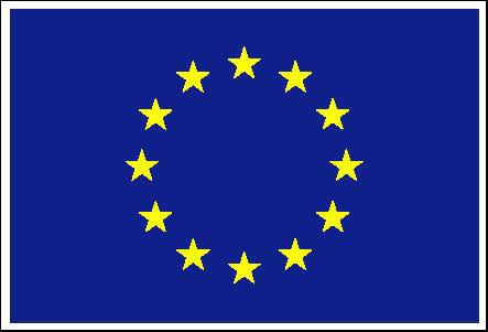 europe_flag.jpg
